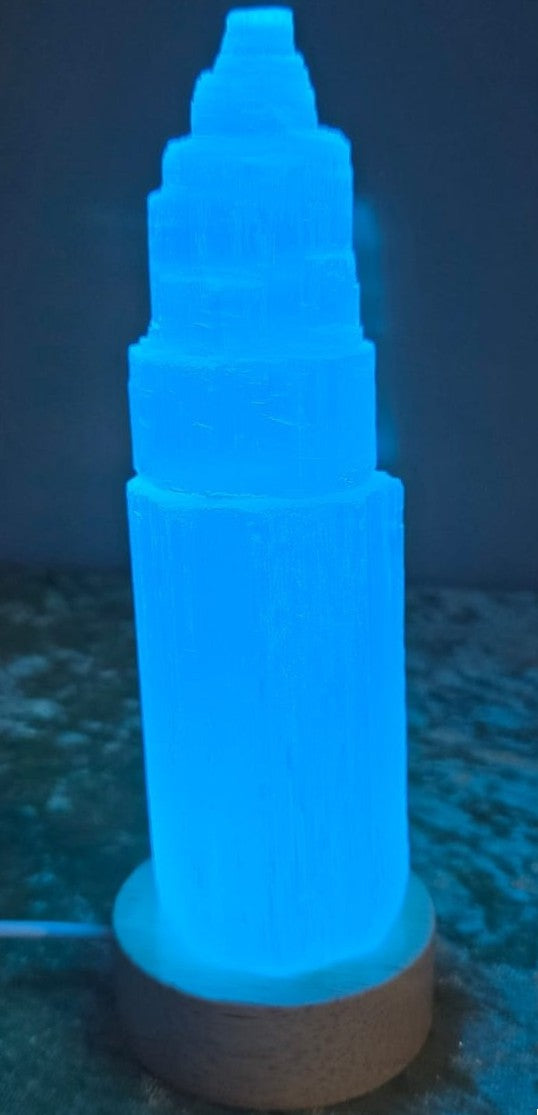 Selenite Crystal Lamp